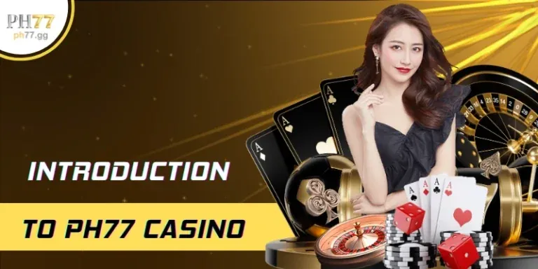 Hướng dẫn cho người mới bắt đầu TK88